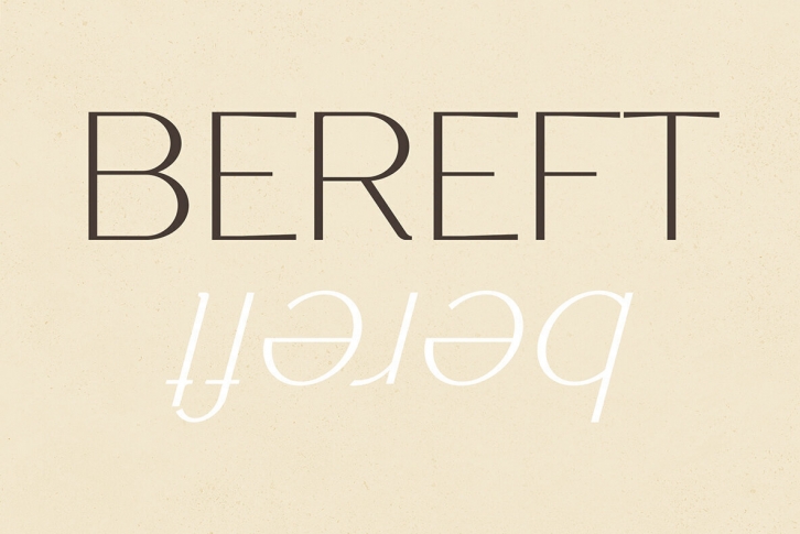 Bereft Font Font Download