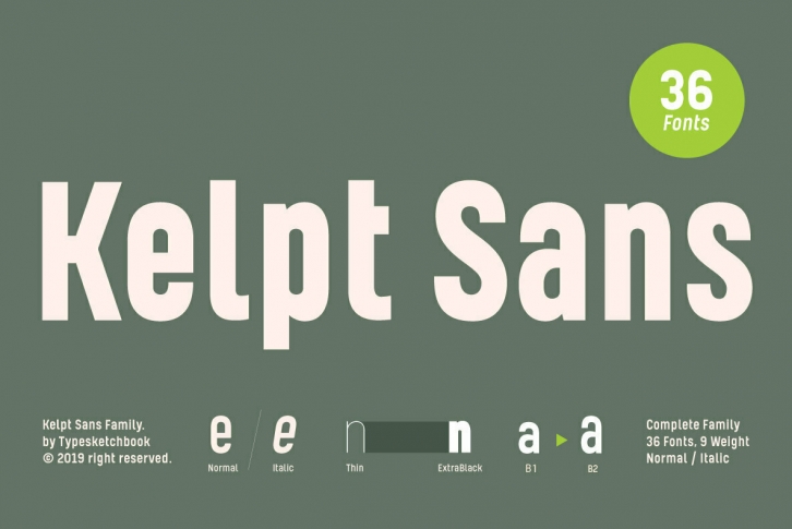 Kelpt Sans Font Font Download