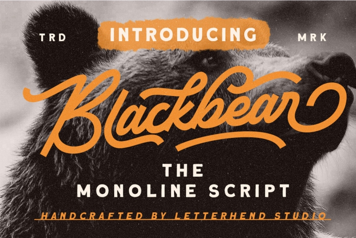 Blackbear Font Font Download