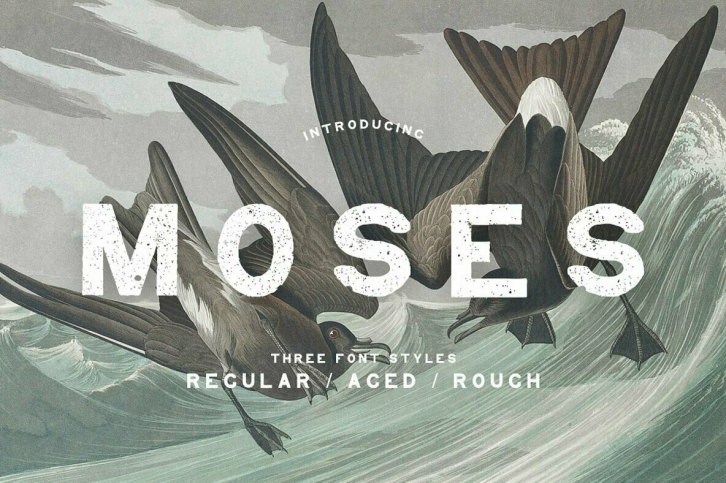 Moses Font Font Download