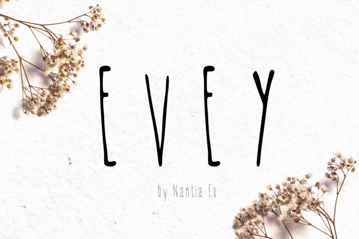 EVEY Font Font Download