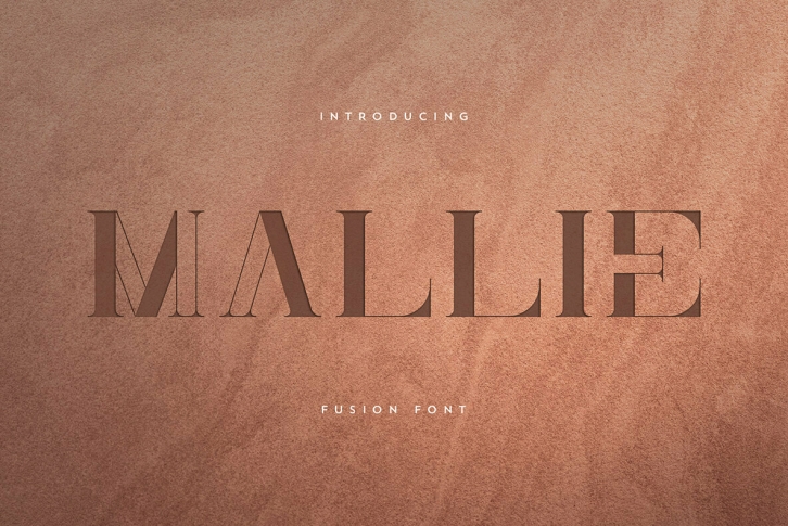 Mallie Font Font Download