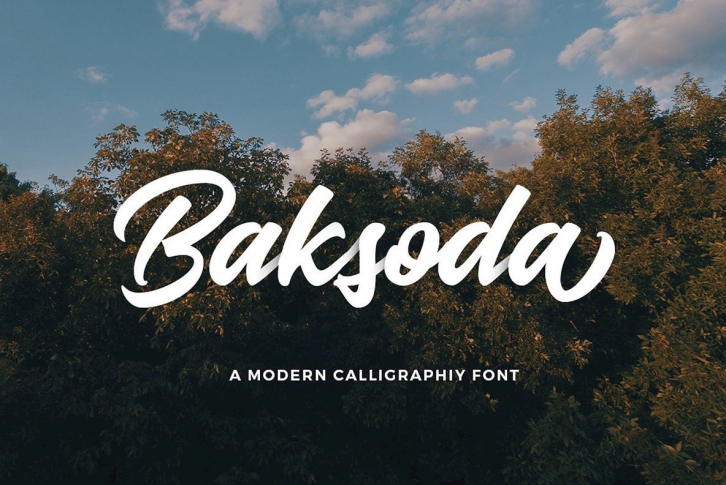 Baksoda Font Font Download