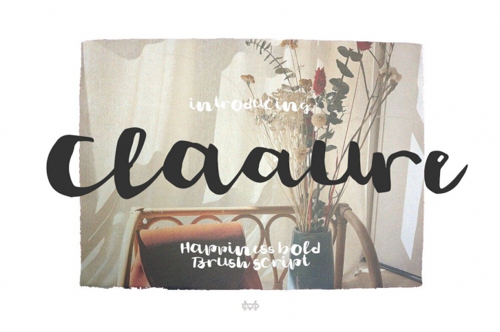 Claaure Script Font Font Download