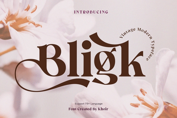 Bligk Font Font Download