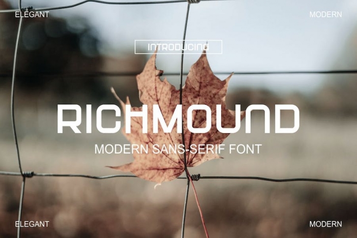 Richmoud Font Font Download