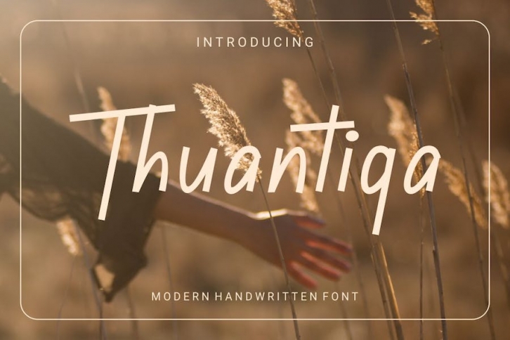 Thuantiqa Font Font Download