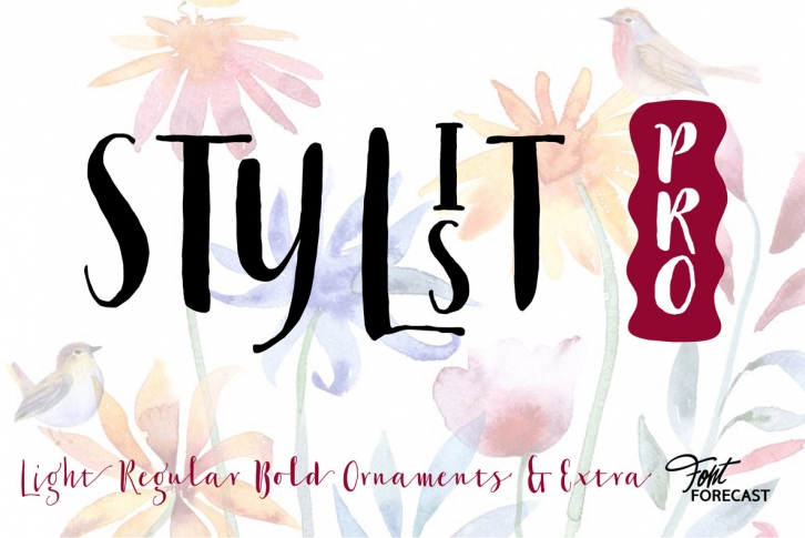 Stylist Pro Font Font Download