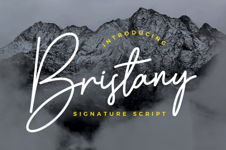 Bristany Font Font Download