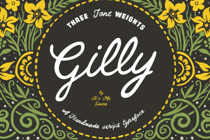 Gilly Script Font Font Download