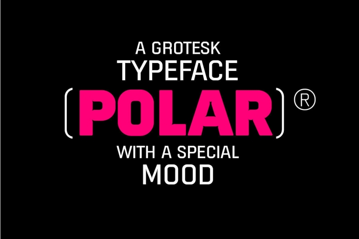 Polar Font Font Download