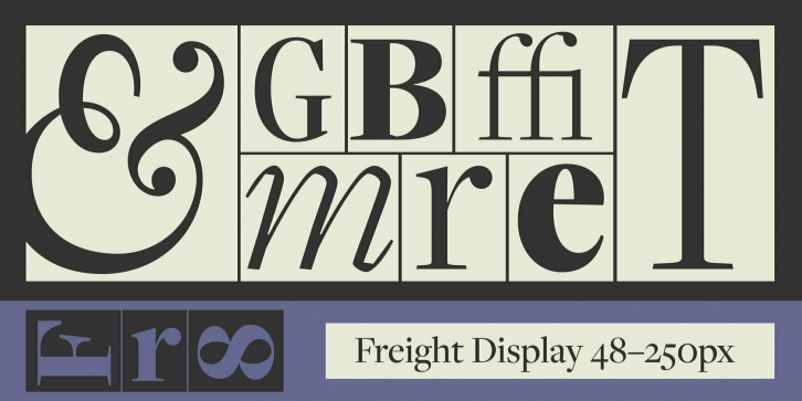 Freight Display Font Font Download