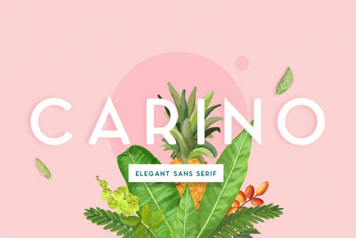 Carino Font Font Download