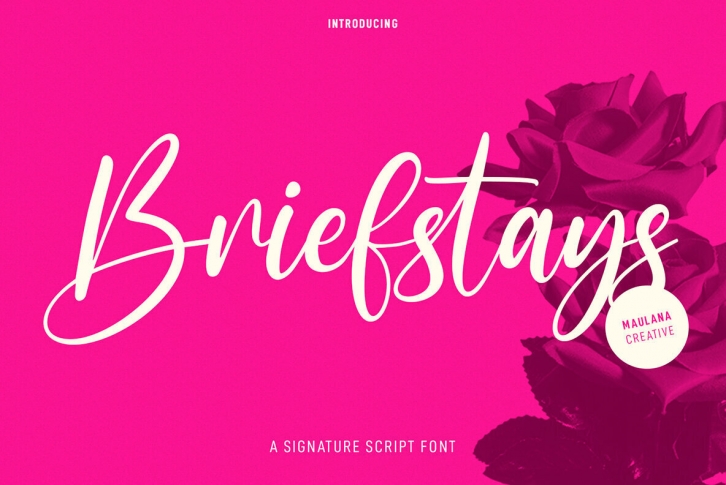 Briefstays Font Font Download