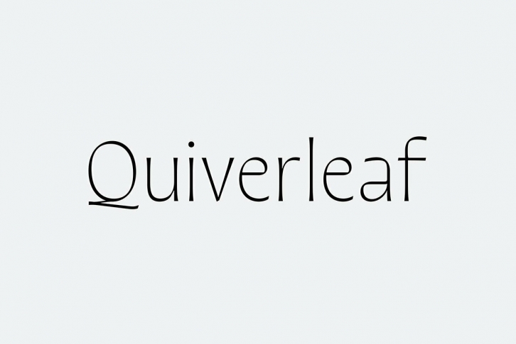 Quiverleaf CF Font Font Download