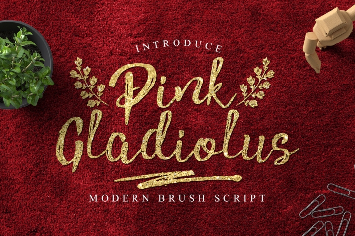 Pink Gladiolus Font Font Download