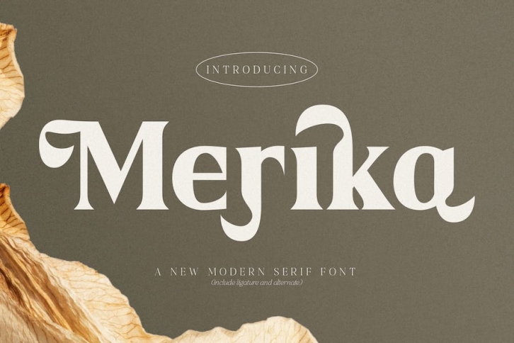 Merika Modern Serif Font Font Download