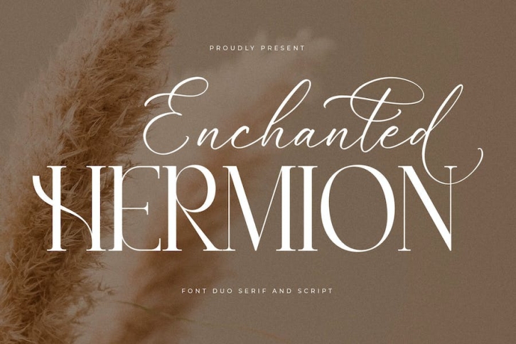 Enchanted Hermion Font Duo Font Download