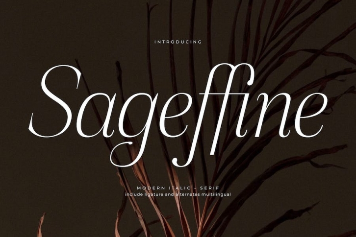 Sageffine Modern Italic Serif Font Font Download