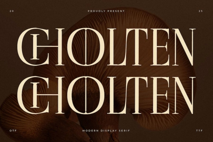 Cholten Modern Display Serif Font Font Download