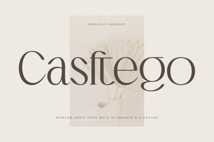 Casftego Modern Serif Font Font Download