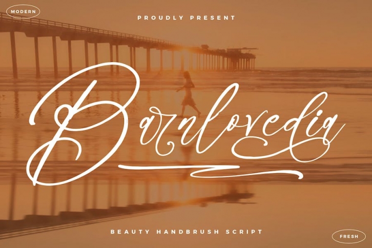 Barnlovedia Handbrush Font Font Download