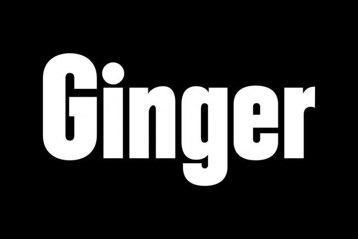 Filmotype Ginger Font Font Download