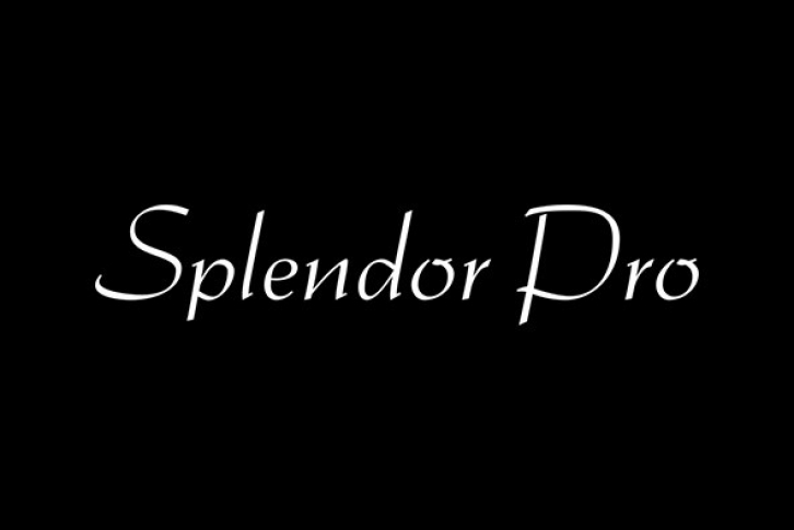 Splendor Pro Font Font Download