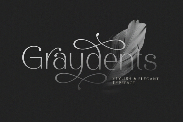 Graydents Font Font Download