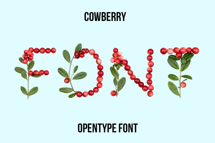 Cowberry Font Font Download