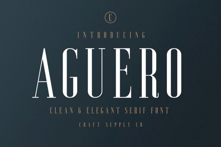 Aguero Serif Font Font Download