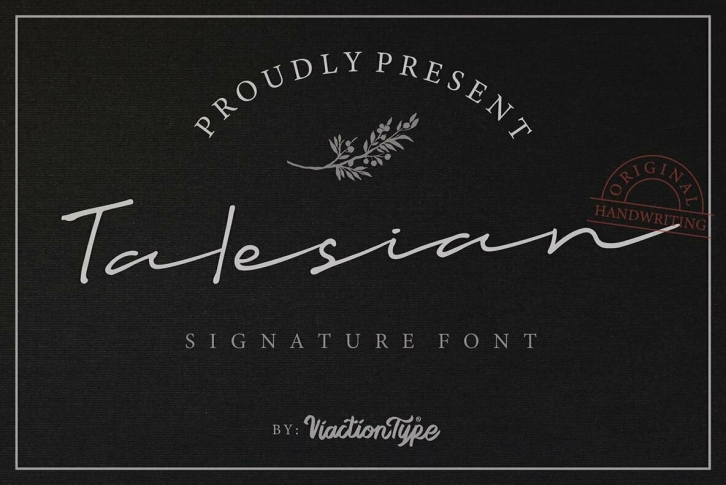 Talesian Signature Font Font Download