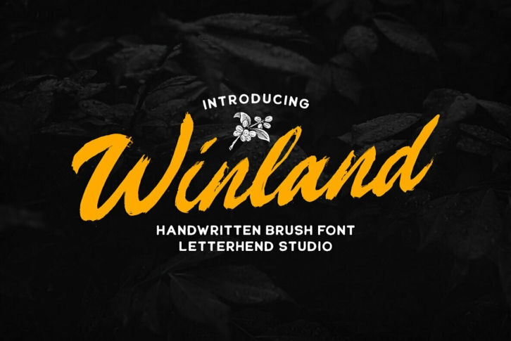 Winland Font Font Download