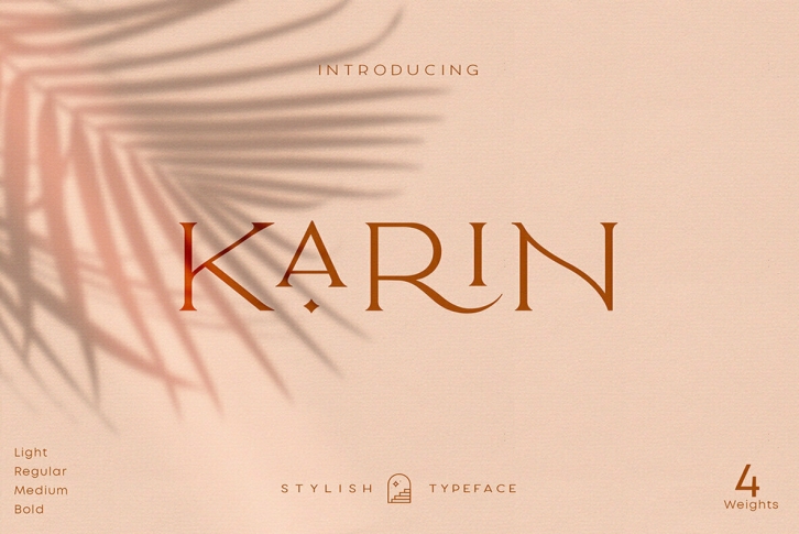 Elegant Karin Font Font Download