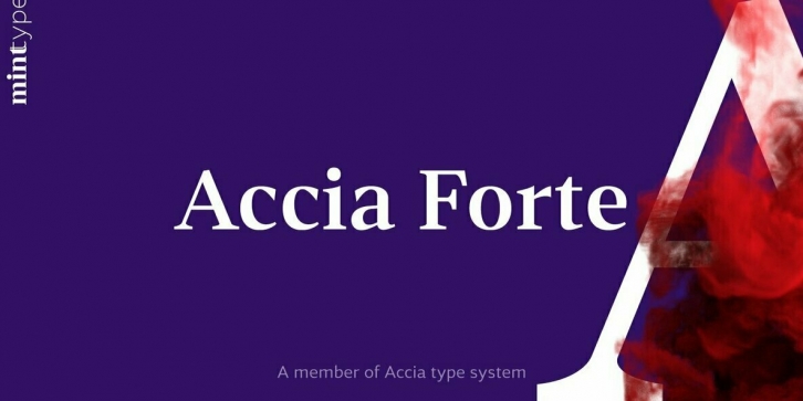 Accia Forte Font Font Download