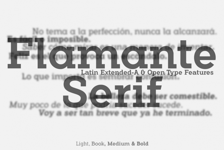 Flamante Serif Font Font Download