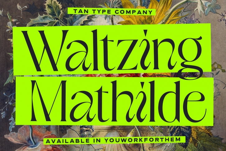 TAN Waltzing Mathilde Font Font Download