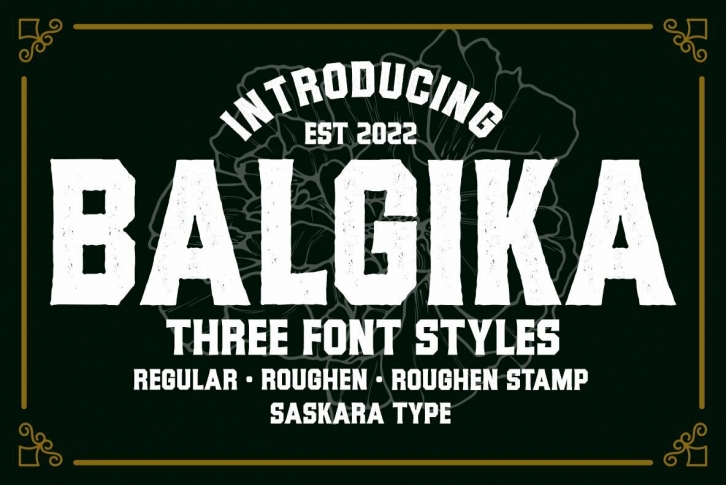 Balgika Font Font Download