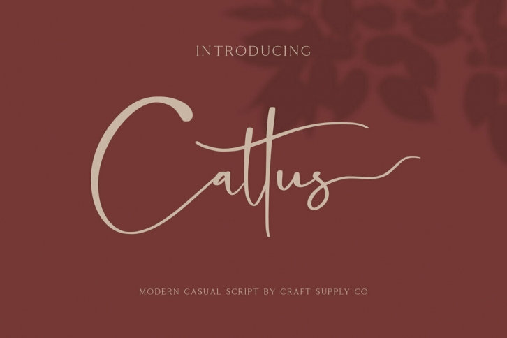 Cattus Font Font Download