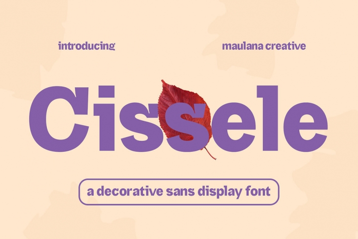 Cissele Font Font Download