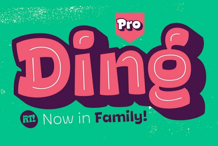 Ding Pro Font Font Download