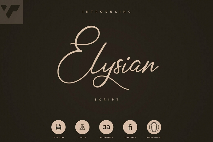 Elysian Script Font Font Download