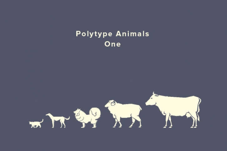 Polytype Animals One Font Font Download