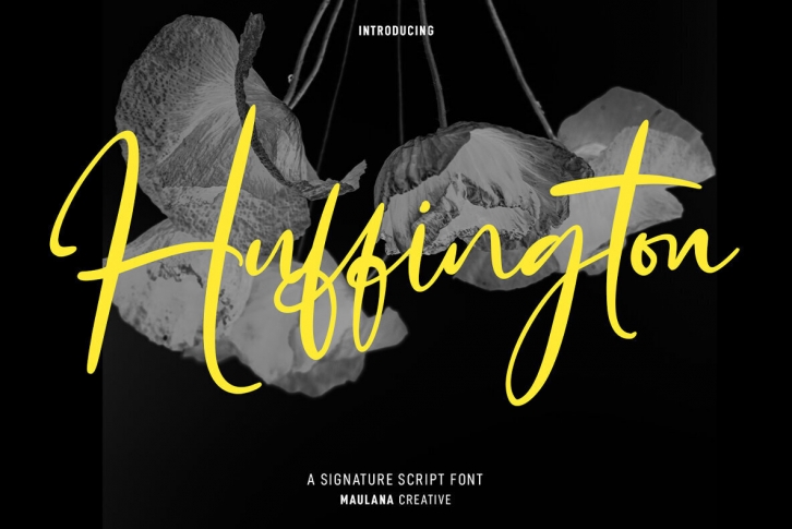 Huffington Font Font Download