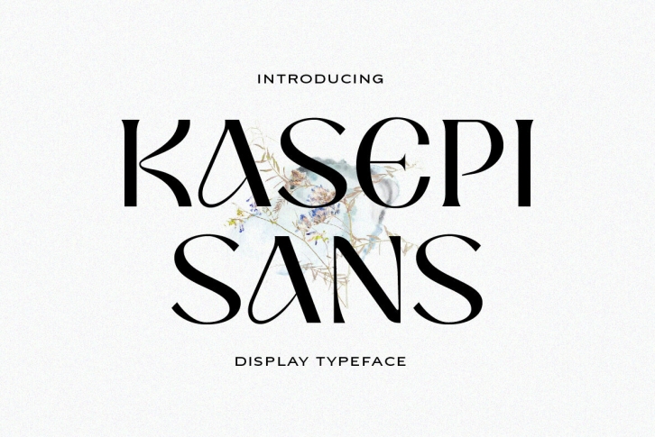 Kasepi Sans Font Font Download