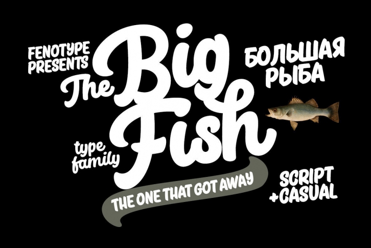 Big Fish Font Font Download