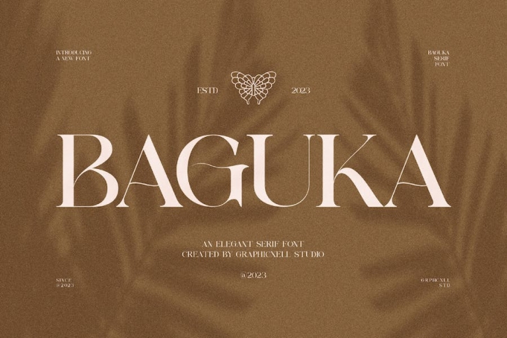 Baguka Elegant Serif Font Typeface Font Download