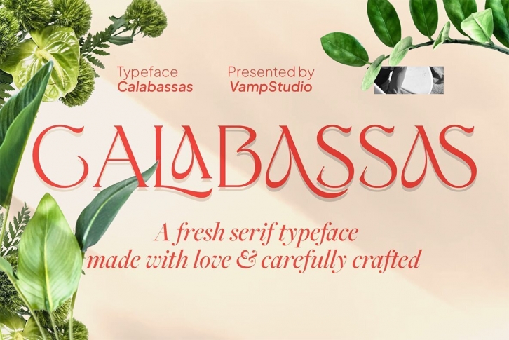 Calabassas Font Font Download