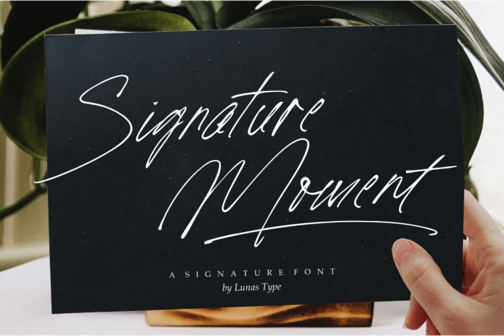 Signature Moment Font Font Download