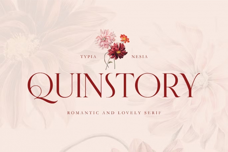 Quinstory Font Font Download